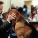 Best In Show